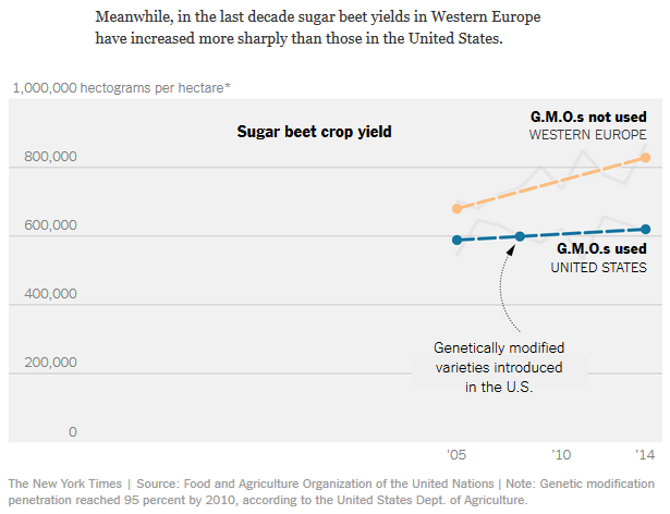 Sugar beet crop yields US GMO vs nonGMO EU